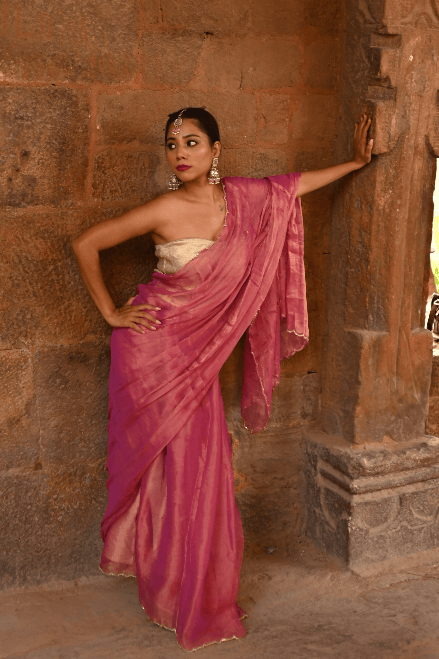Raani Handwoven Tissue Saree