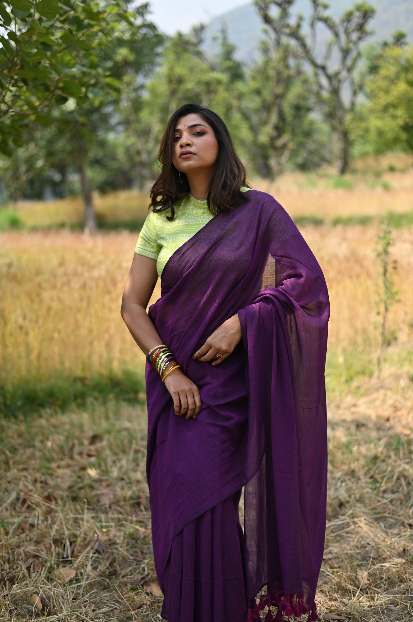 Blueberry Pie Mul Saree