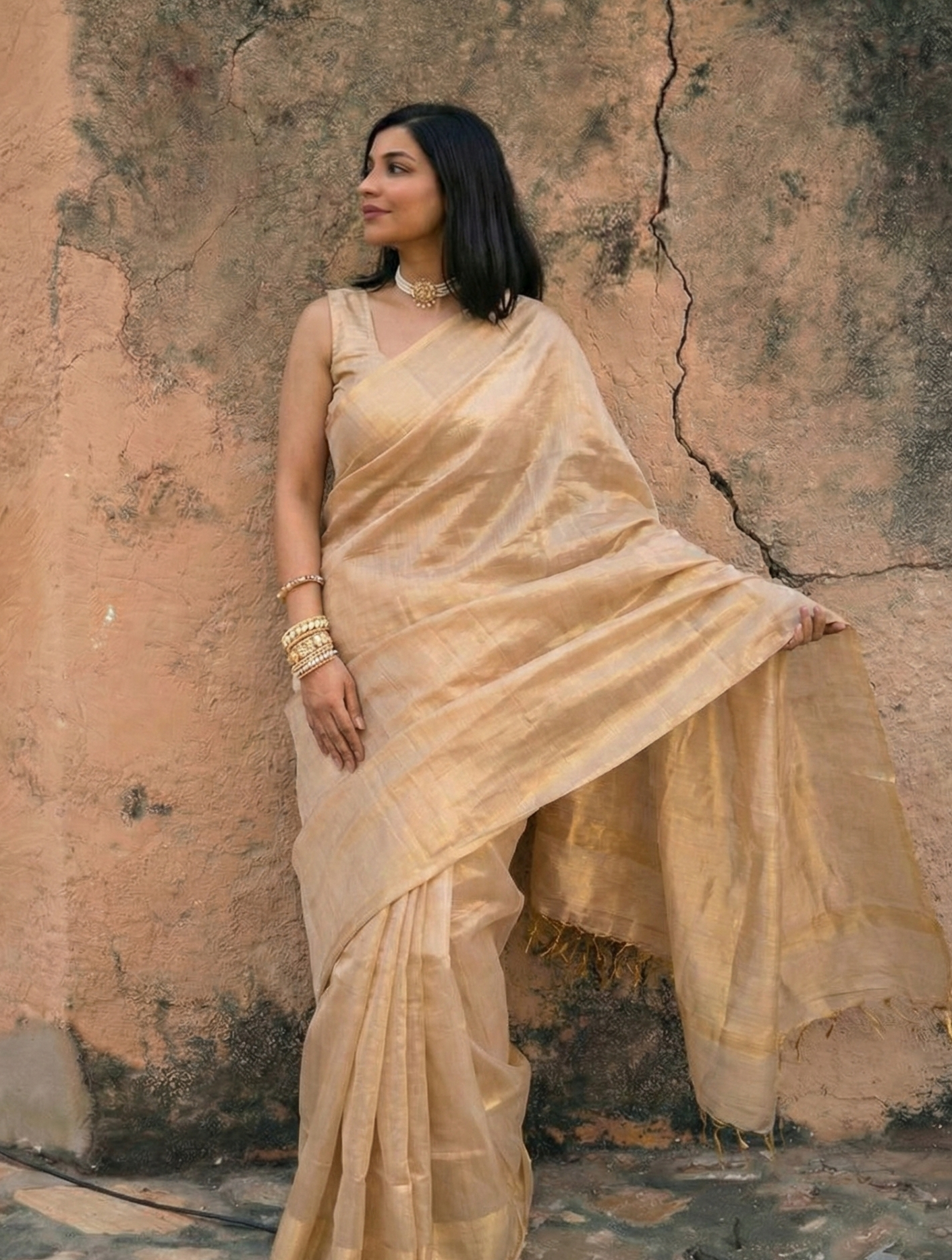 Meira Handloom Tissue Saree