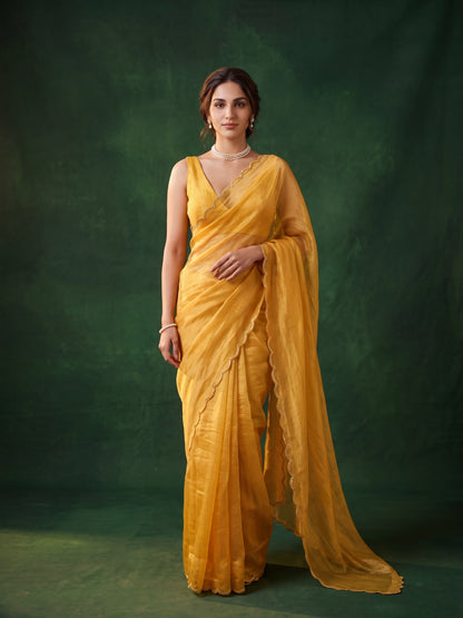 Miss Earth Tissue Saree
