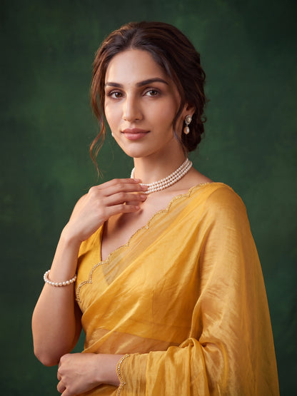 Miss Earth Tissue Saree