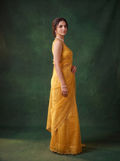 Miss Earth Tissue Saree