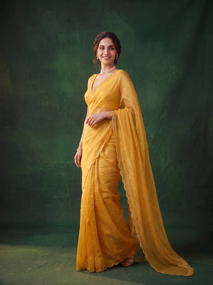 Miss Earth Tissue Saree