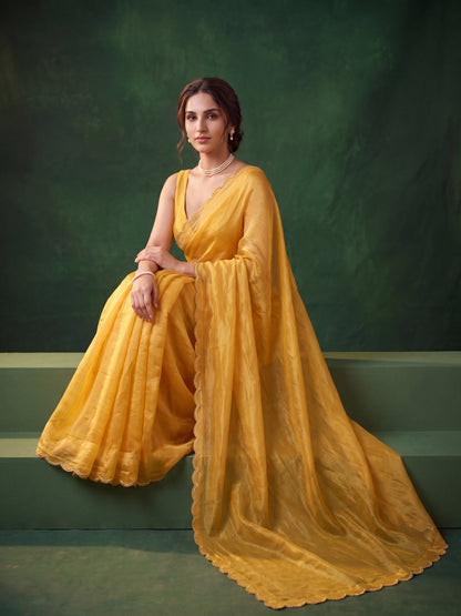 Miss Earth Tissue Saree