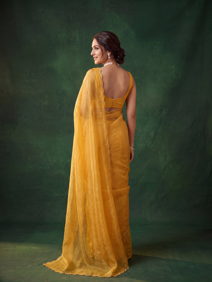 Miss Earth Tissue Saree