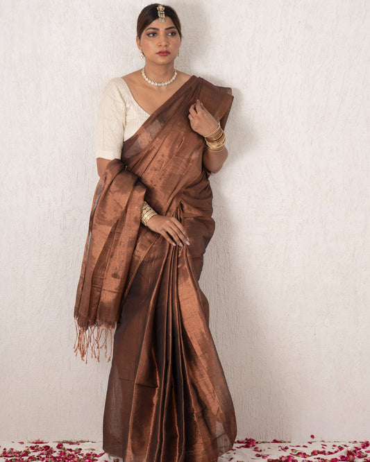 Woman wearing a brown saree with a white blouse against a white background
