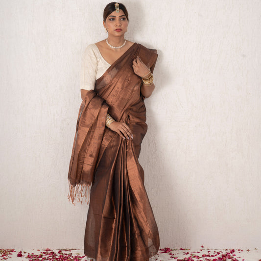 Woman wearing a brown saree with a white blouse against a white background