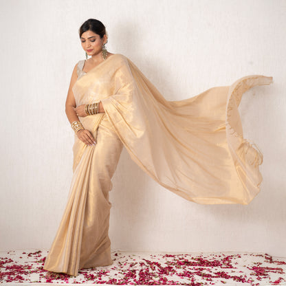 Meira Mulmul Tissue Saree