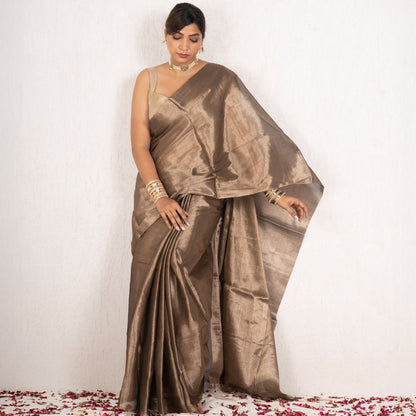 Woman wearing a bronze saree with a plain background