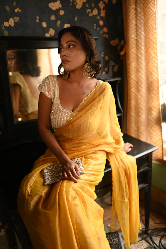Miss Earth Tissue Saree