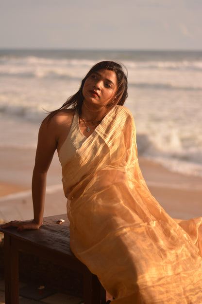 Gilded Gold Silk Tissue Saree - Mayin India 