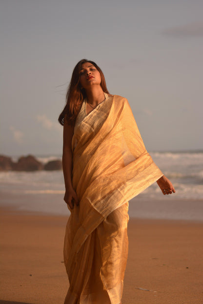 Gilded Gold Silk Tissue Saree - Mayin India 