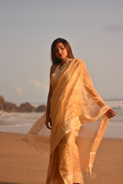 Gilded Gold Silk Tissue Saree - Mayin India 