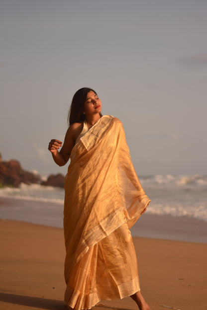 Gilded Gold Silk Tissue Saree - Mayin India 