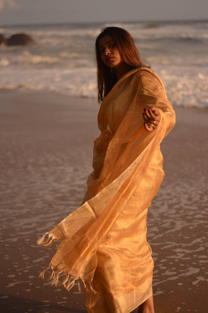 Gilded Gold Silk Tissue Saree - Mayin India 