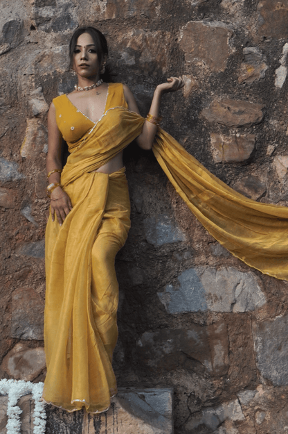 Miss Earth Tissue Saree