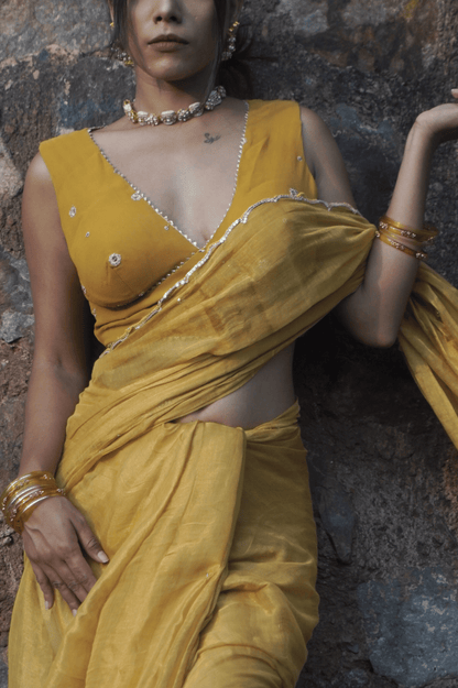 Miss Earth Tissue Saree