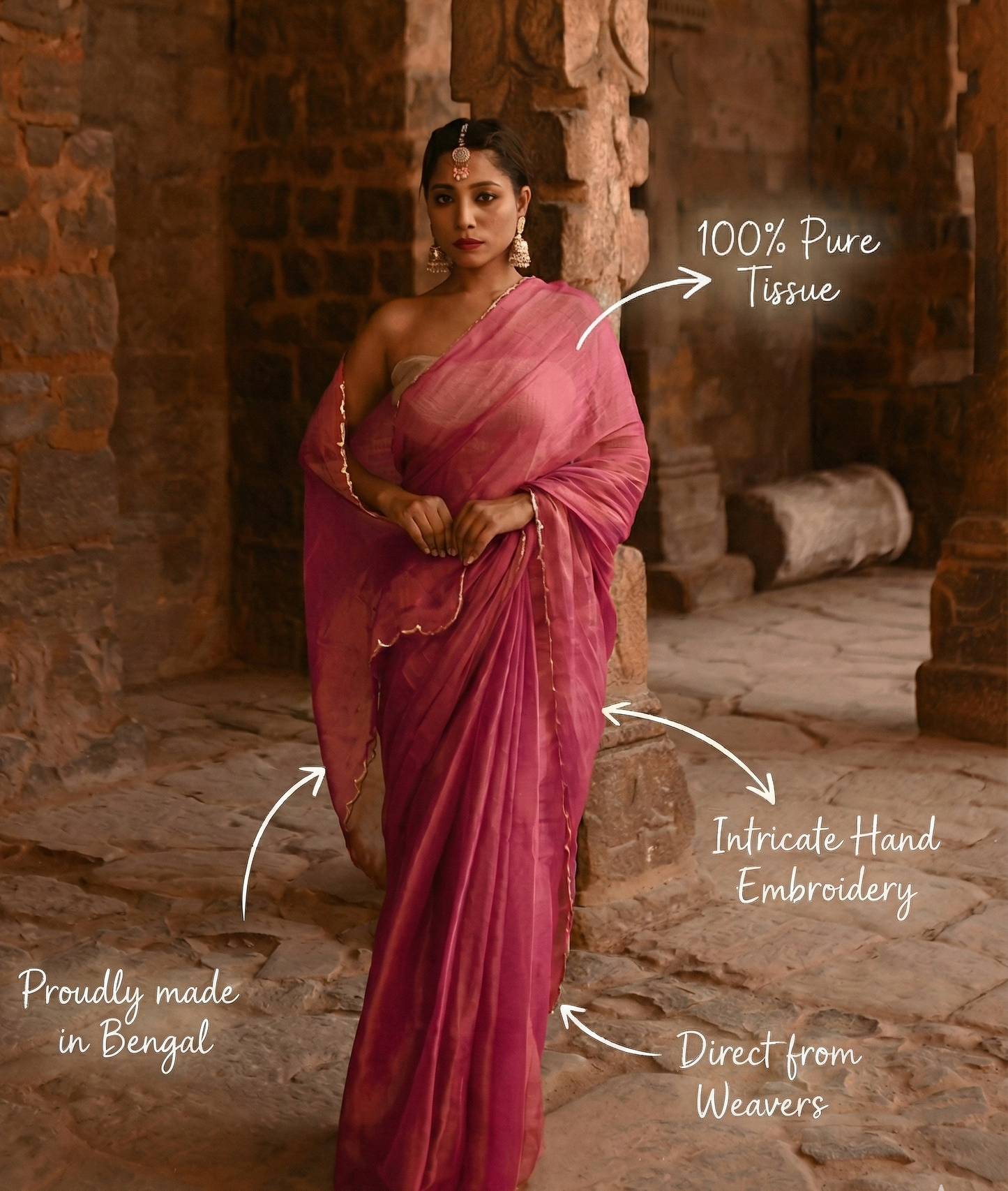 Raani Handwoven Tissue Saree