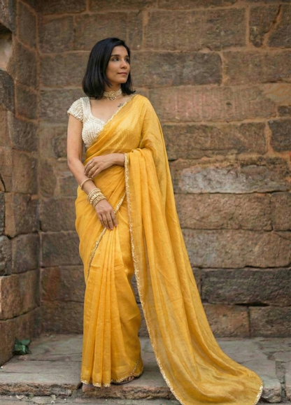 Miss Earth Tissue Saree